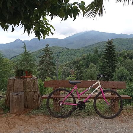 Apartamento En Pleno Montseny Mas Romeu Turisme Rural Arbucies Exterior photo