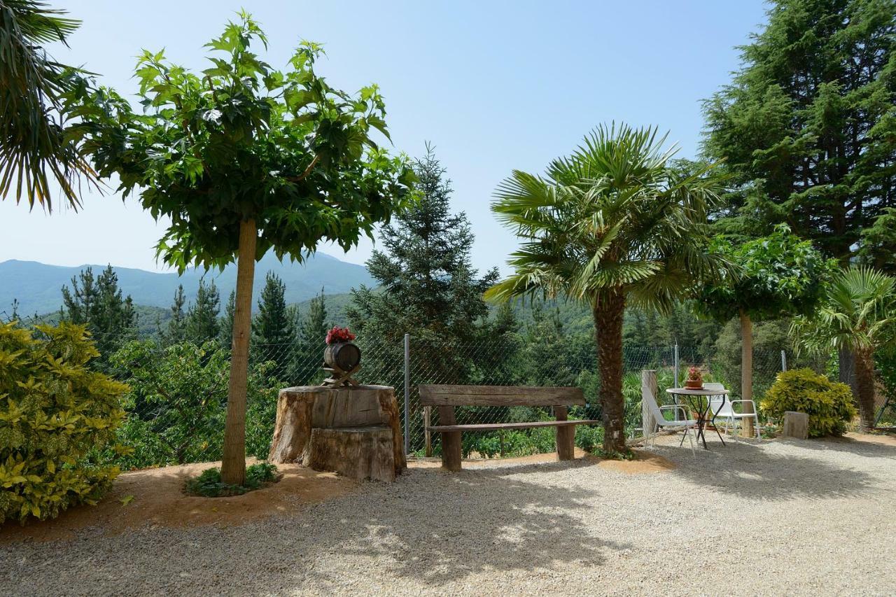 Apartamento En Pleno Montseny Mas Romeu Turisme Rural Arbucies Exterior photo